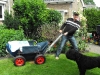klootschieten-16-juli-2011-004_0