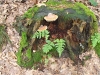 klootschieten-16-juli-2011-035