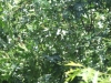 DSCF1073
