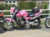DSCF2366
