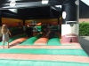 DSCF4959