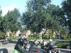 DSCF5067