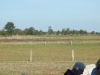 DSCF5173
