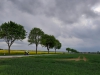 IMG-20190511-WA0001