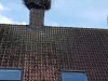 IMG-20190602-WA0018