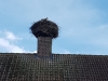 IMG-20190602-WA0019