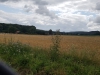 IMG-20190707-WA0014