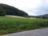 z20190707_125414_resized