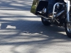 IMG-20220327-WA0001