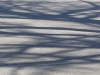 IMG-20220327-WA0009