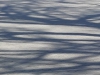 IMG-20220327-WA0010