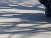 IMG-20220327-WA0013